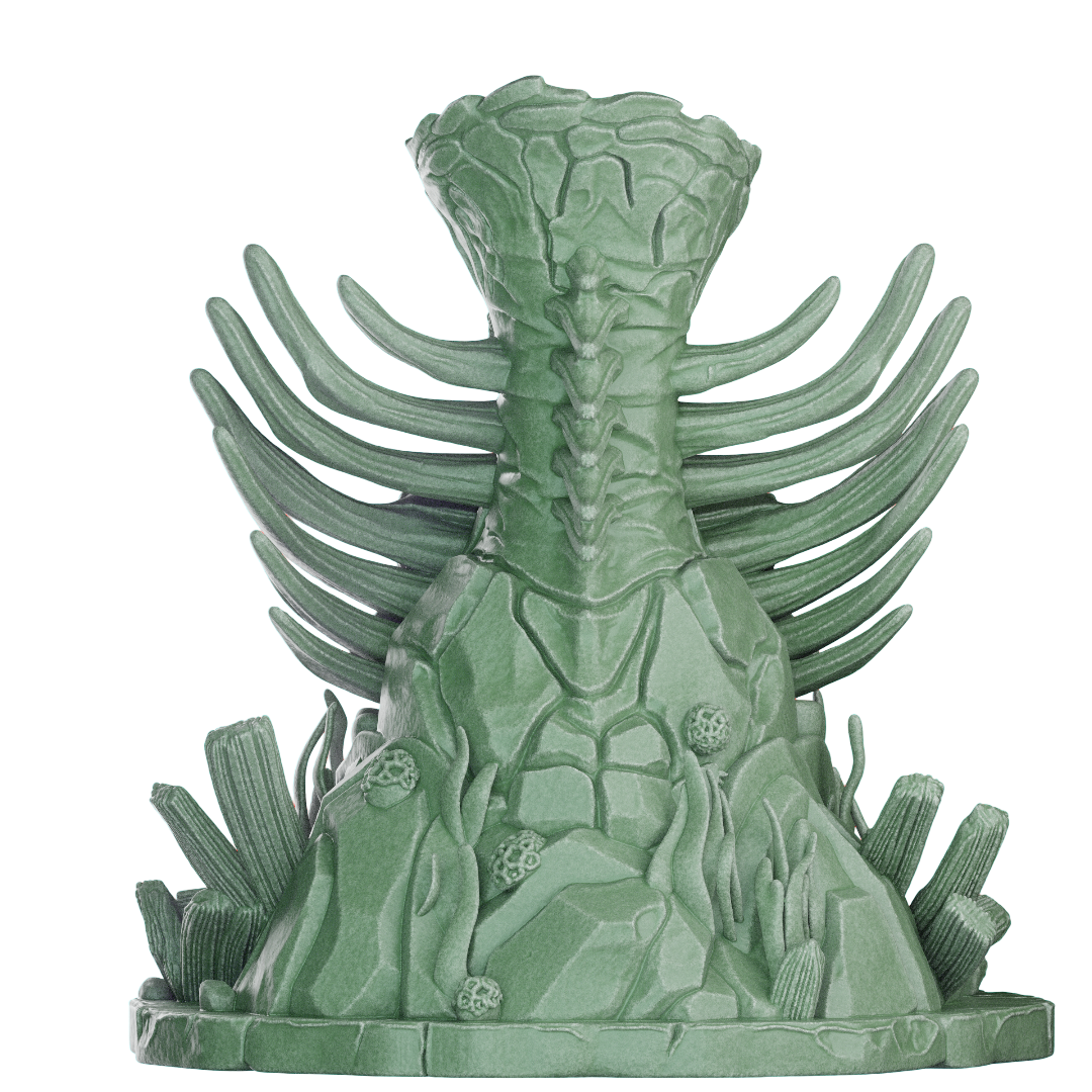 Sea Spawn Skeleton
